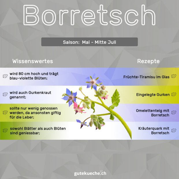 Info-Borretsch