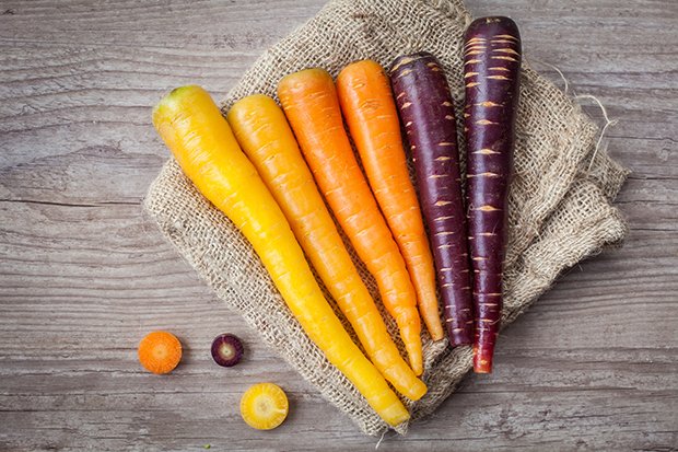 Bunte Karotten sind neue Züchtungen oder alte Sorten