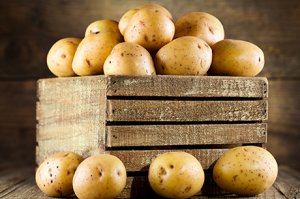 Kartoffeln - Kartoffelsorten