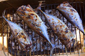 Fisch & Meeresfrüchte grillieren