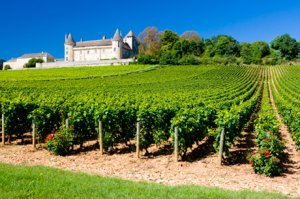 Weinland Frankreich - französischer Wein