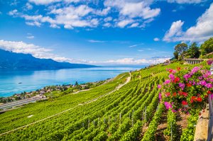 Weinregion Genf