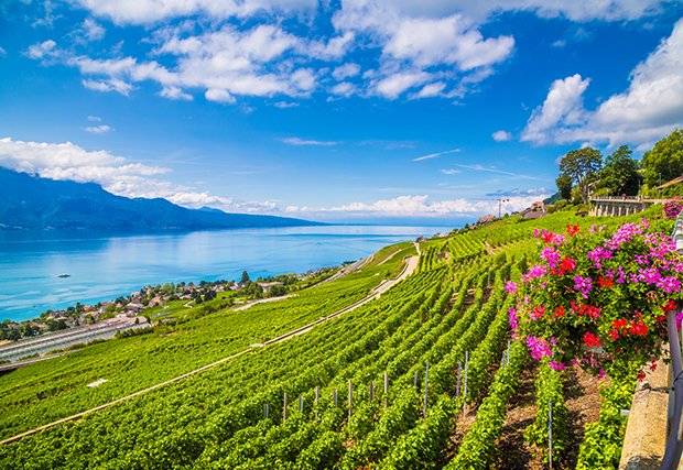 Genfer Weinregion