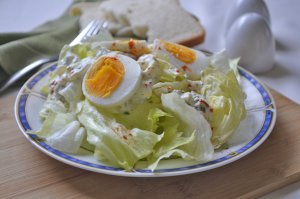 Grüner Salat mit selbstgemachter Eierquarksauce