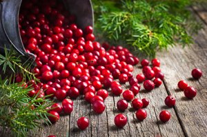 Cranberrys – grosse Beeren, grosse Wirkung