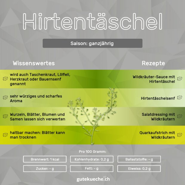 Infos-Hirtentaeschel