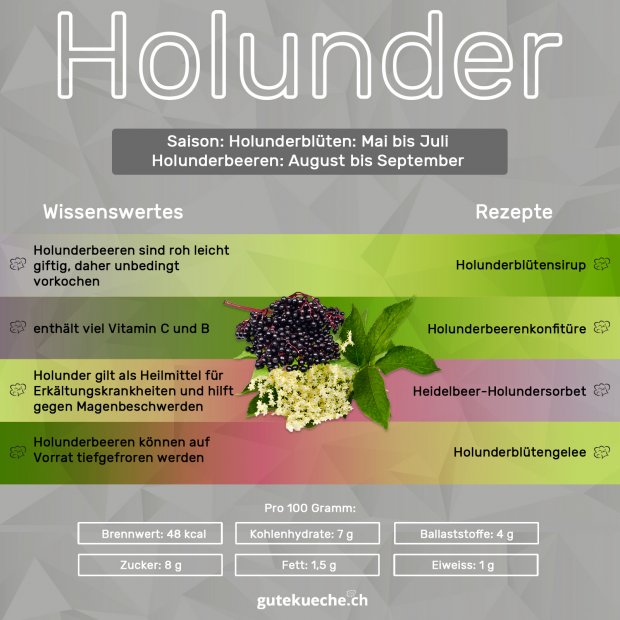 Infos-Holunder
