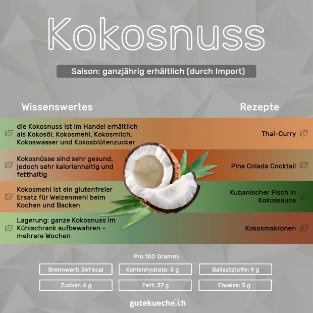 Kokosnuss-Info