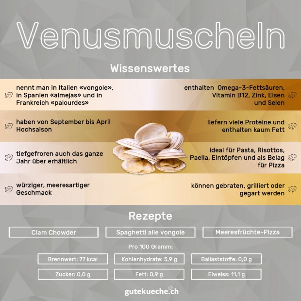 Infos-Venusmuscheln