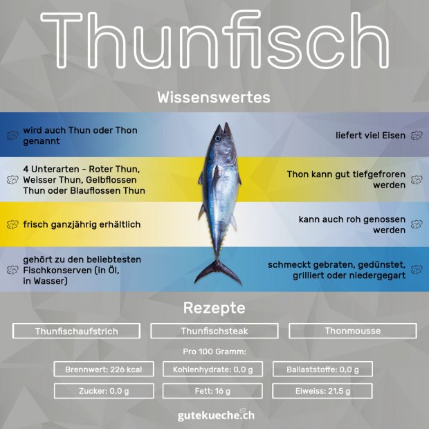 Infos-Thunfisch