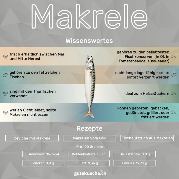 Infos-Makrele