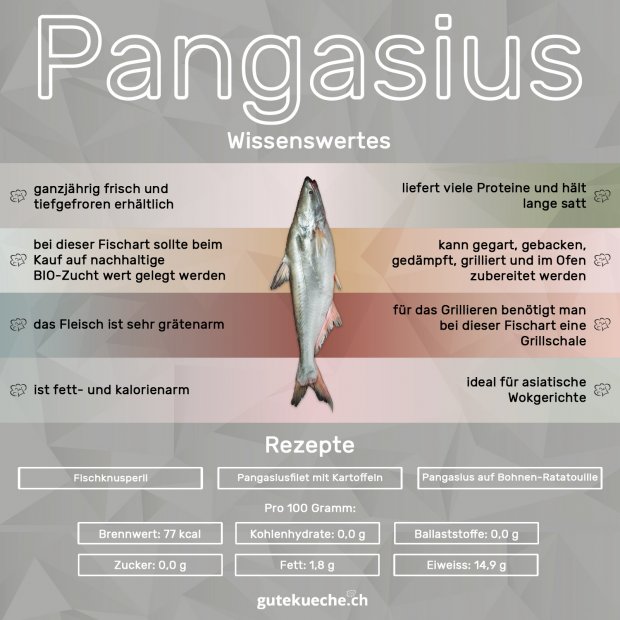 Infos-Pangasius