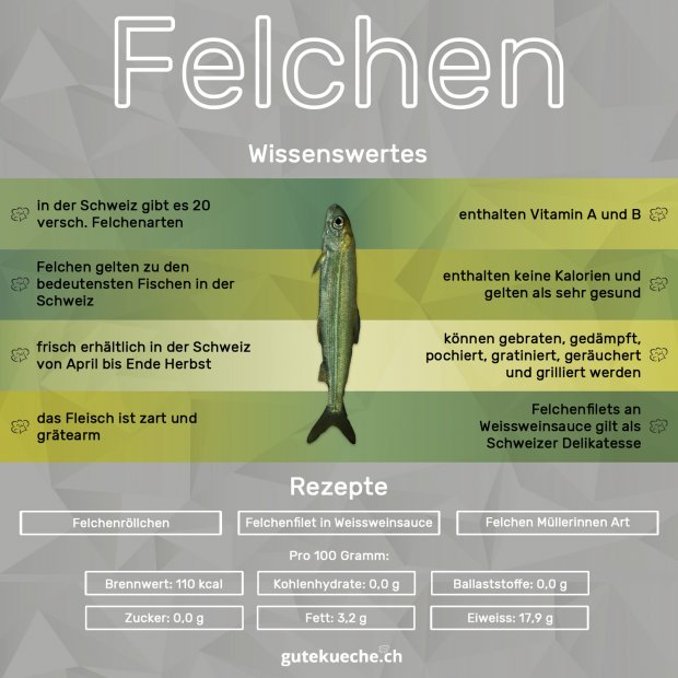 Felchen-Infografik