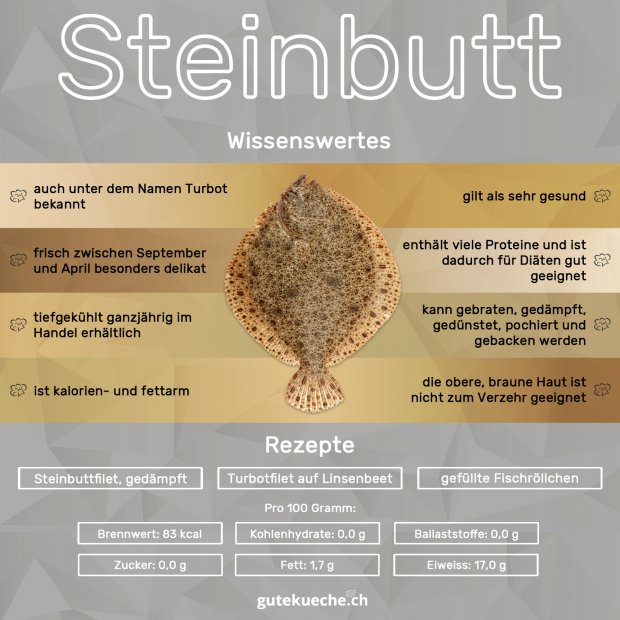Infos-Steinbutt