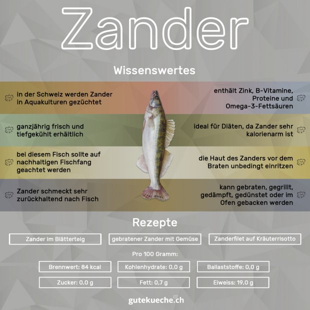 Infos-Zander