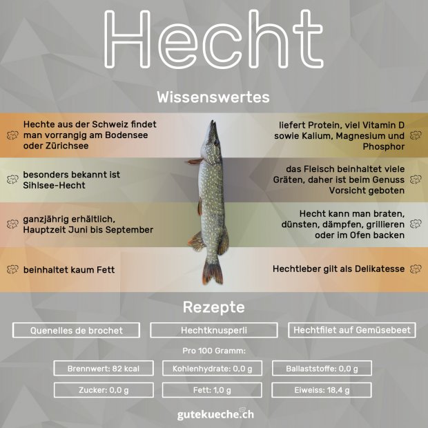 Infos-Seehecht