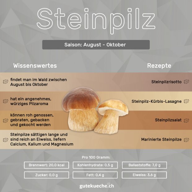 Steinpilz