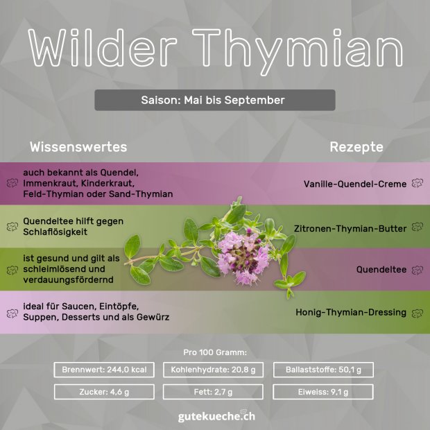 Wilder-Thymian-Infos