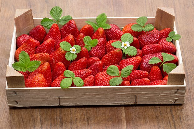 Erdbeeren am besten neben einander lagern und Plastik und jegliche Feuchtigkeit vermeiden