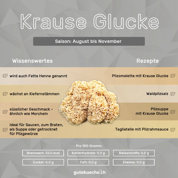 Info Krause-Glucke
