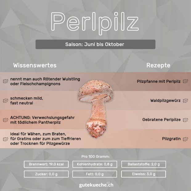 Infos-Perlpilz