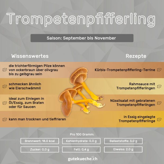 Infos-Trompetenpfifferling