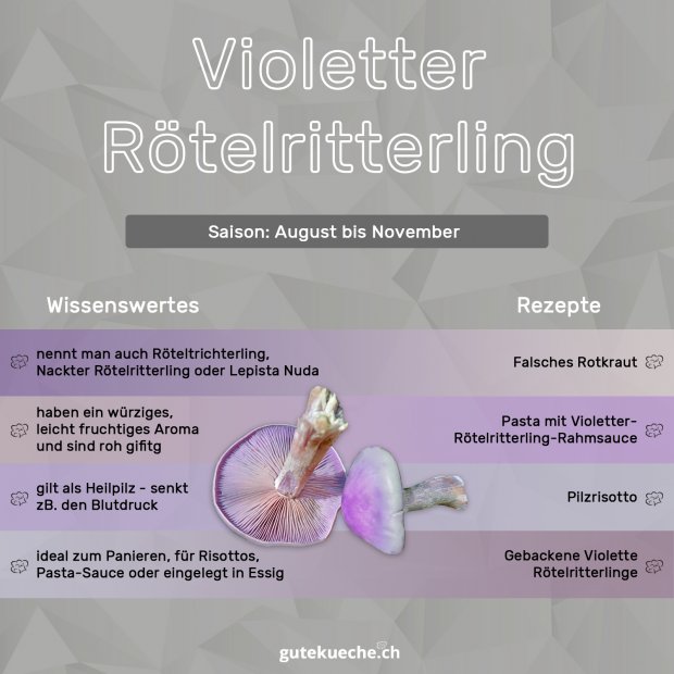 Info-Violetter-Rötelritterling