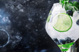 Top 10 Cocktails mit Gin