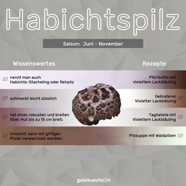 Infos-Habichtspilz
