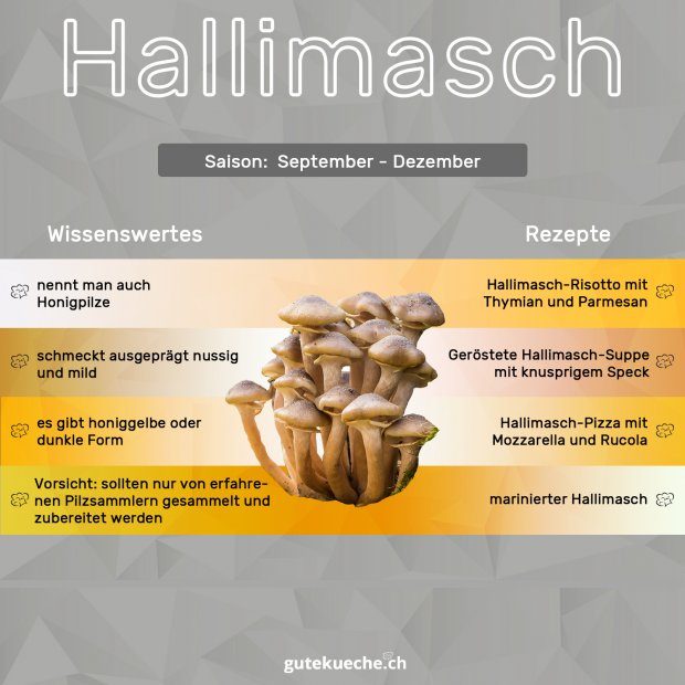 Infos-Hallimasch