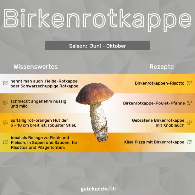 Birkenrotkappe-Infos
