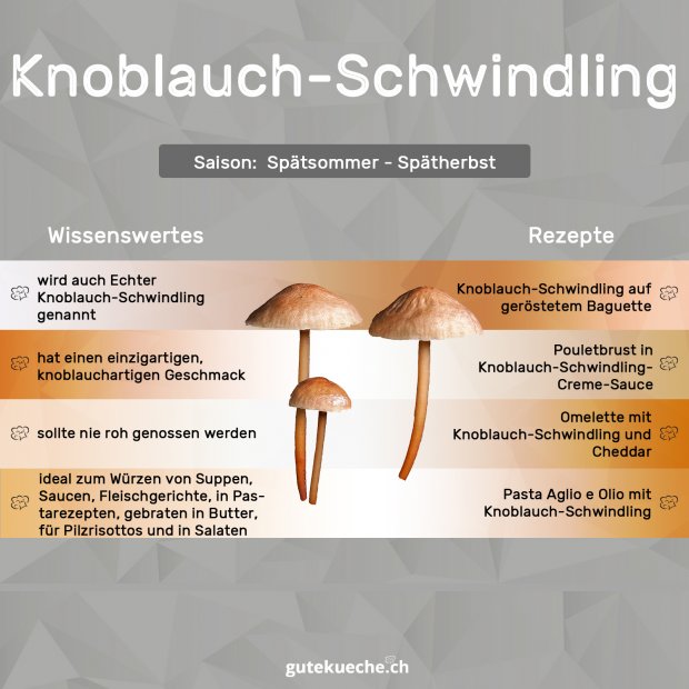 Knoblauch-Schwindlinge