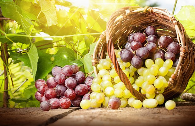 Weintrauben - ein gesunder Snack