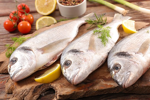 Vor allem Fische sind sehr Eiweisshaltig und spielen eine wichtige Rolle bei dieser Diät.