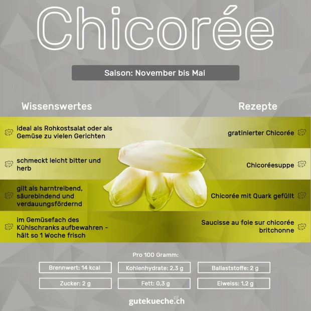 Chicorée-Info