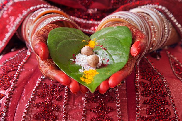 Das herzförmige Paanblatt (Bettelpfeffer) ist auch wichtiger Teil einer indisches Hochzeit