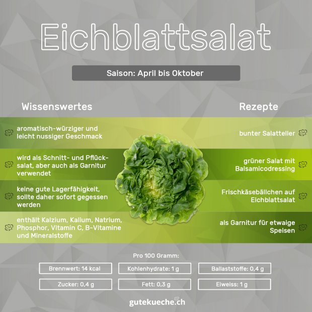 Info-Eichblattsalat