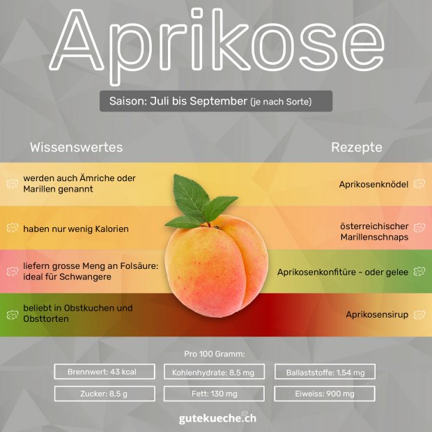 Aprikose_Infografik