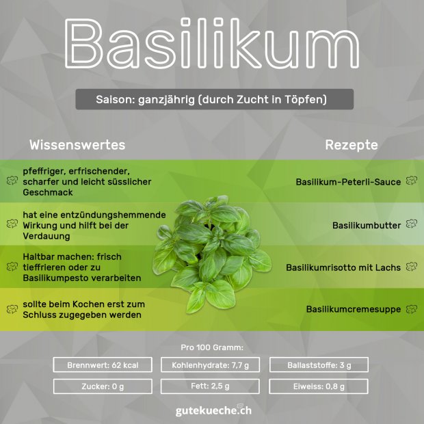 Infos-Basilikum