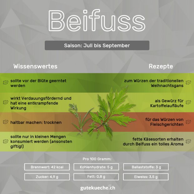 Infos-Beifuss