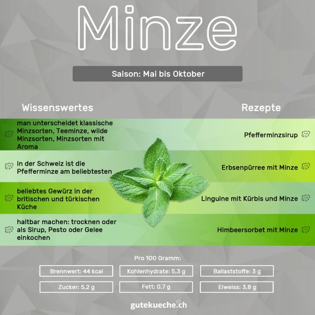 Infos-Minze