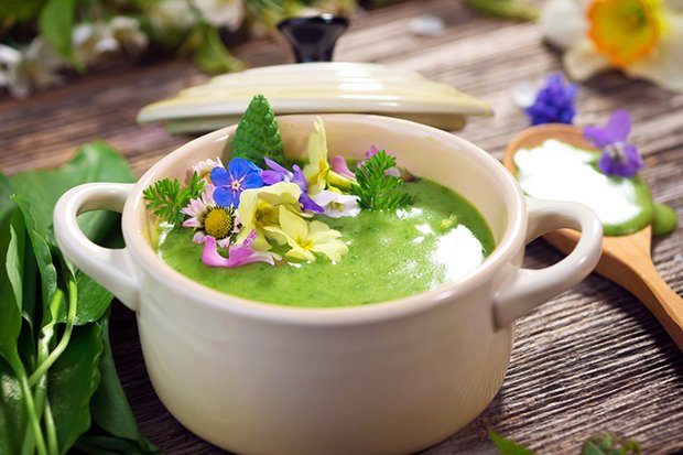 vitalisierende Suppen aus jungem Spinat oder Bärlauch sind ideal im Frühling