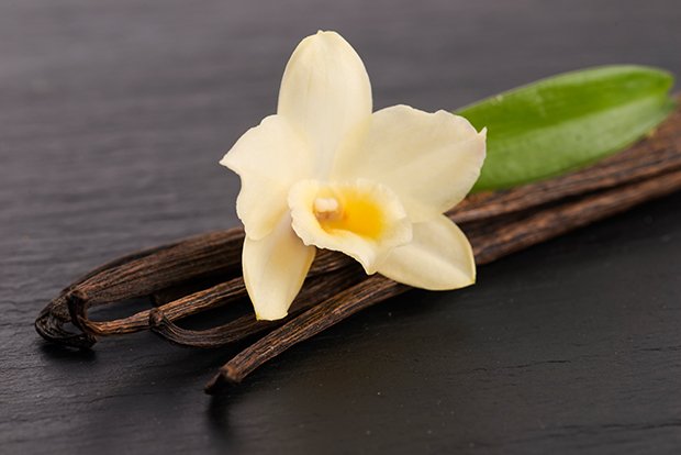 Vanille wird aus den Kapselfrüchten einiger bestimmter Orchideenarten gewonnen