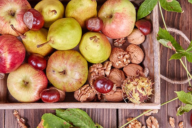 Äpfel, Birnen, Nüsse und Kastanien leiten den kulinarischen Herbst ein.
