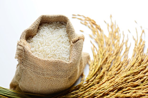 Reis ist das Grundnahrungsmittel für die Hälfte der Menschheit