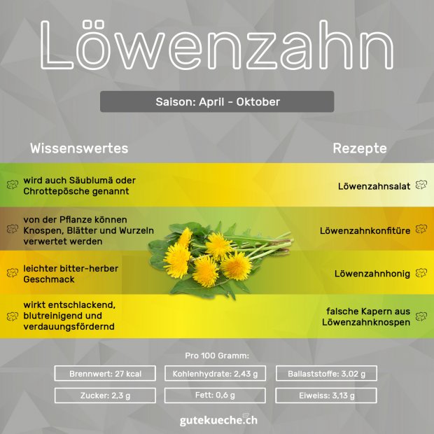 Löwenzahn-Infos