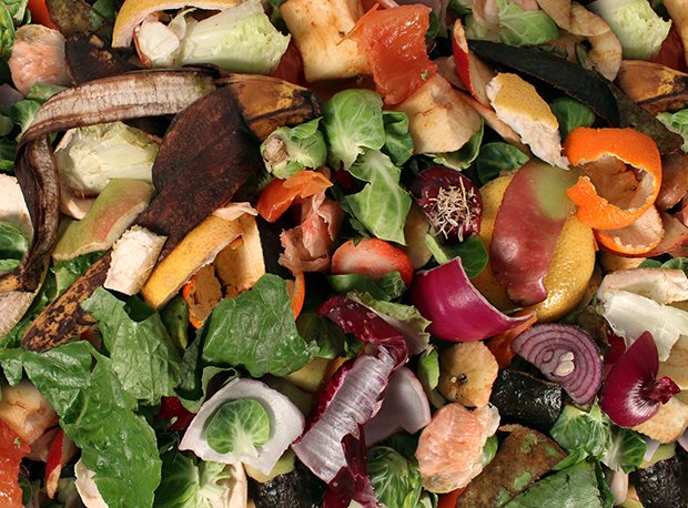 Bis auf Fleischreste kann man fast alle organischen Stoffe auf den Kompost geben.