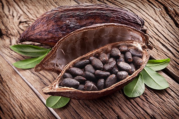 Nur vollständig fermentierte und komplett getrocknete Kakaobohnen werden weiterverarbeitet.