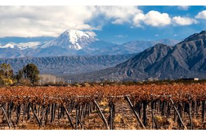 Weinland Argentinien - argentinischer Wein