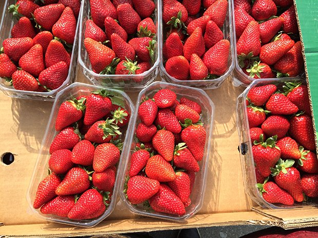 Erdbeeren gibt es ab Ende Mai auf Schweizer Märkten